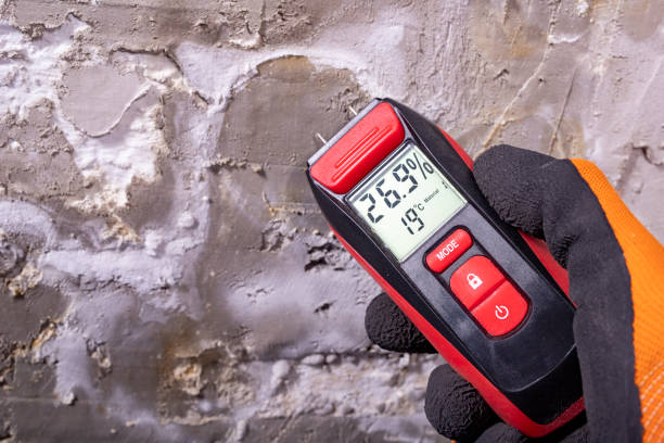 Best Commercial Mold Removal  in East Aurora, NY